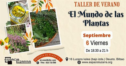 TALLER DE VERANO: El Mundo de las Plantas